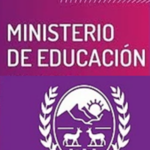 Puntaje docente otorgado por el Ministerio de Educación de San Luis