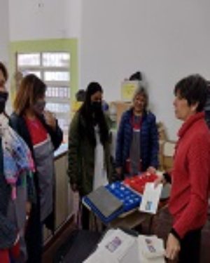 Inicio del Asesoramiento Pedagógico Didáctico en Ciencias Naturales.